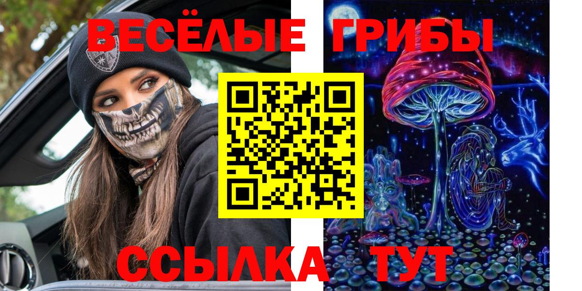 Псилоцибиновые грибы Psilocybe  Галлюциногенные грибы Psilocybine cubensis  Лиски  Вход с VPN 