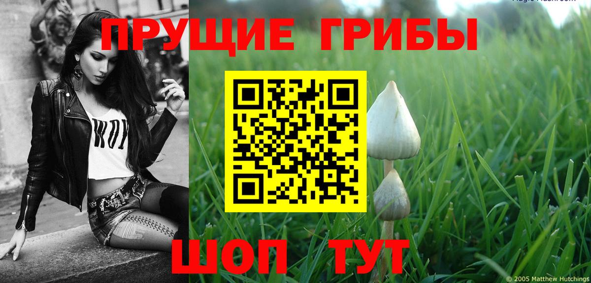 Псилоцибиновые грибы мухоморы Лиски