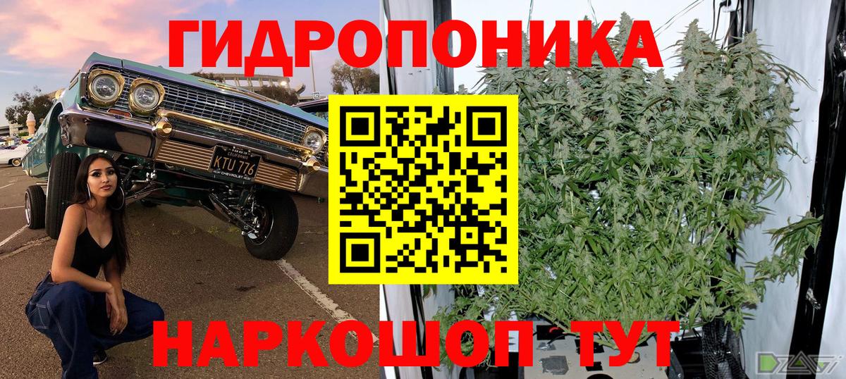 МАРИХУАНА сатива  Вход с VPN  Лиски  МАРИХУАНА планчик 
